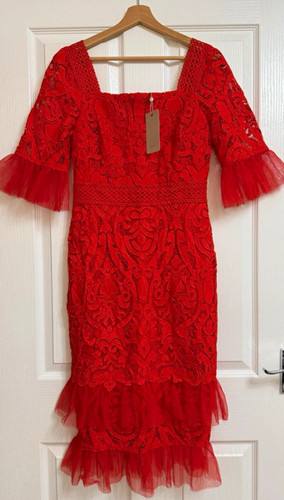 Bnwt coast red floral lace - red,